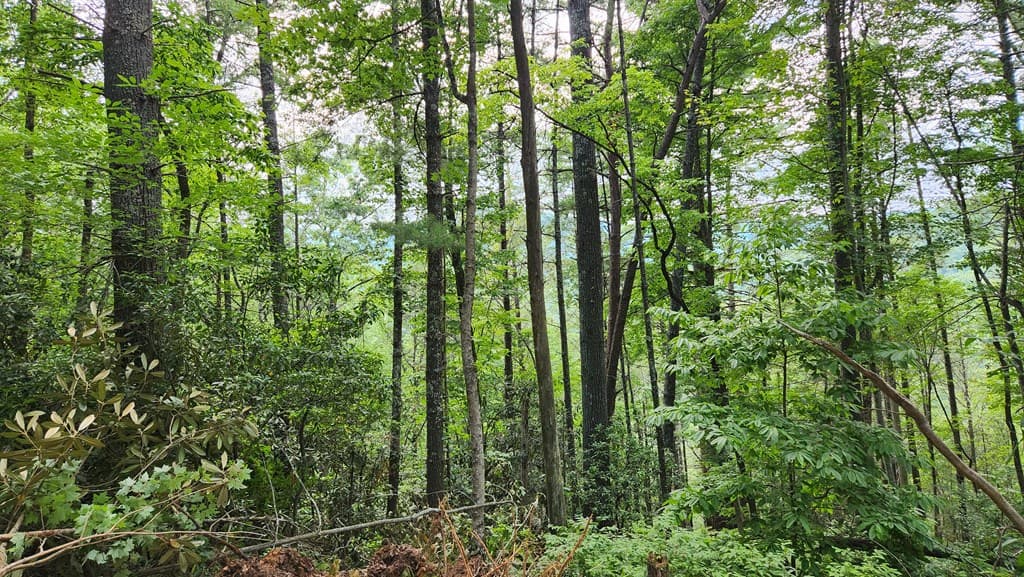 38 AC Tumbling Creek Road, Copperhill TN 37317 - Photo
