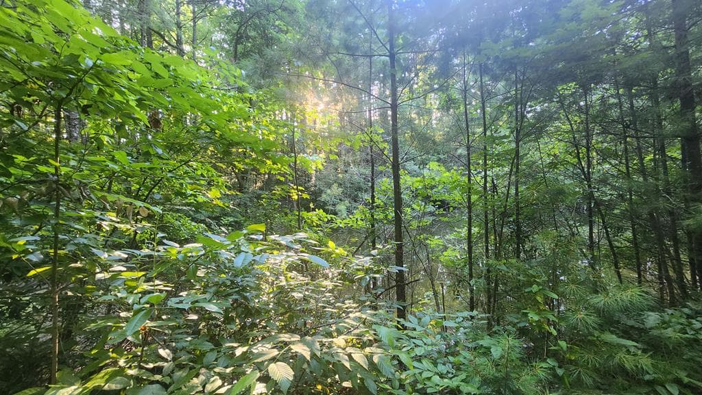 38 AC Tumbling Creek Road, Copperhill TN 37317 - Photo
