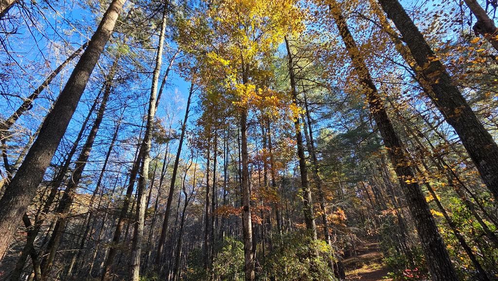 38 AC Tumbling Creek Road, Copperhill TN 37317 - Photo