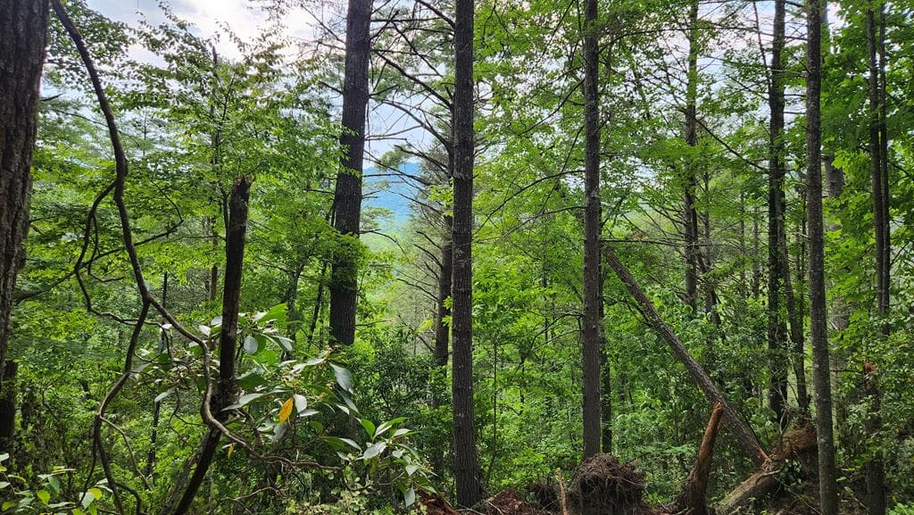 38 AC Tumbling Creek Road, Copperhill TN 37317 - Photo