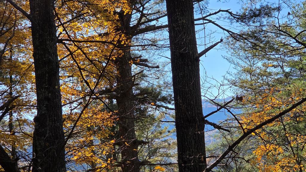 38 AC Tumbling Creek Road, Copperhill TN 37317 - Photo