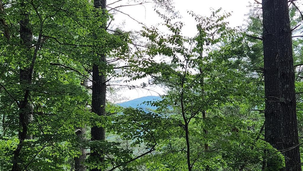 38 AC Tumbling Creek Road, Copperhill TN 37317 - Photo