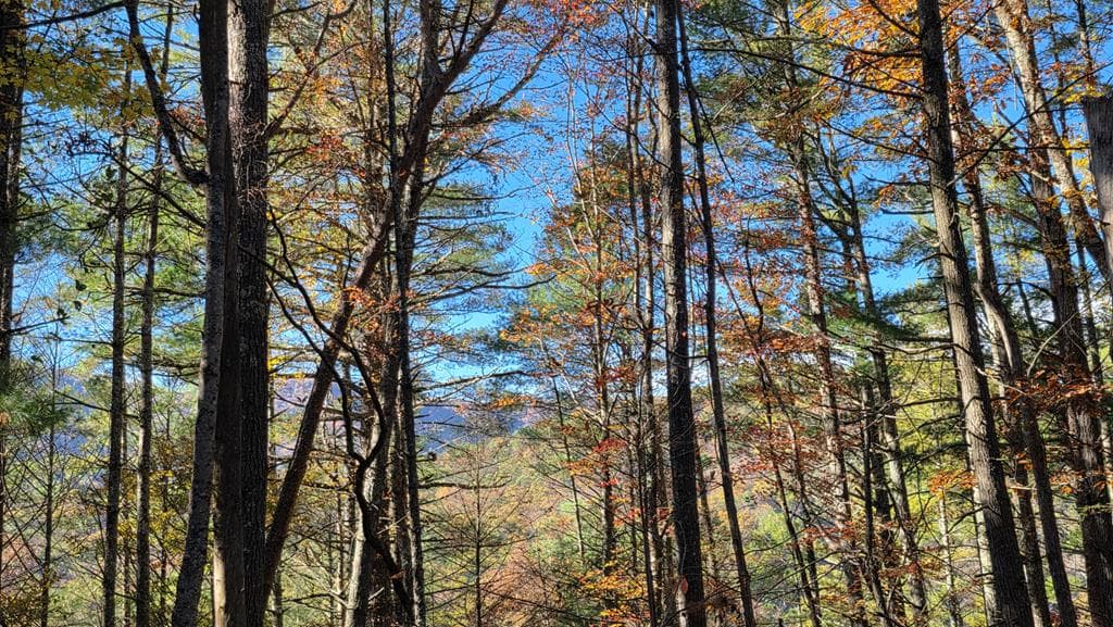 38 AC Tumbling Creek Road, Copperhill TN 37317 - Photo