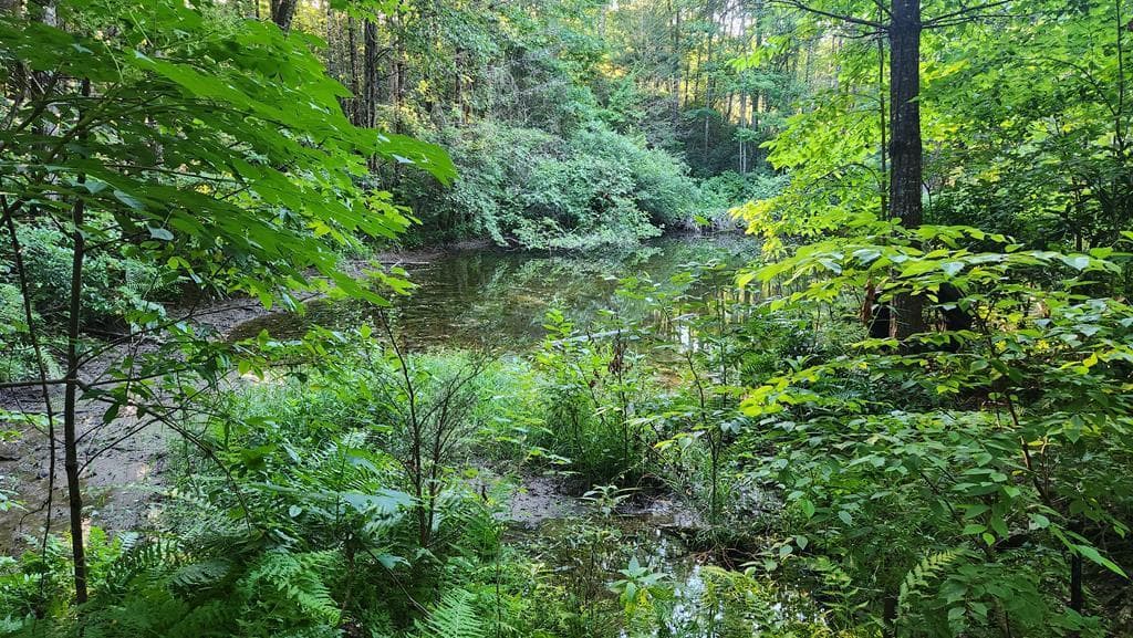 38 AC Tumbling Creek Road, Copperhill TN 37317 - Photo