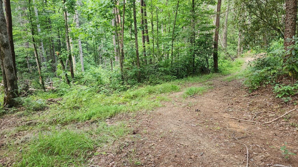 38 AC Tumbling Creek Road, Copperhill TN 37317 - Photo