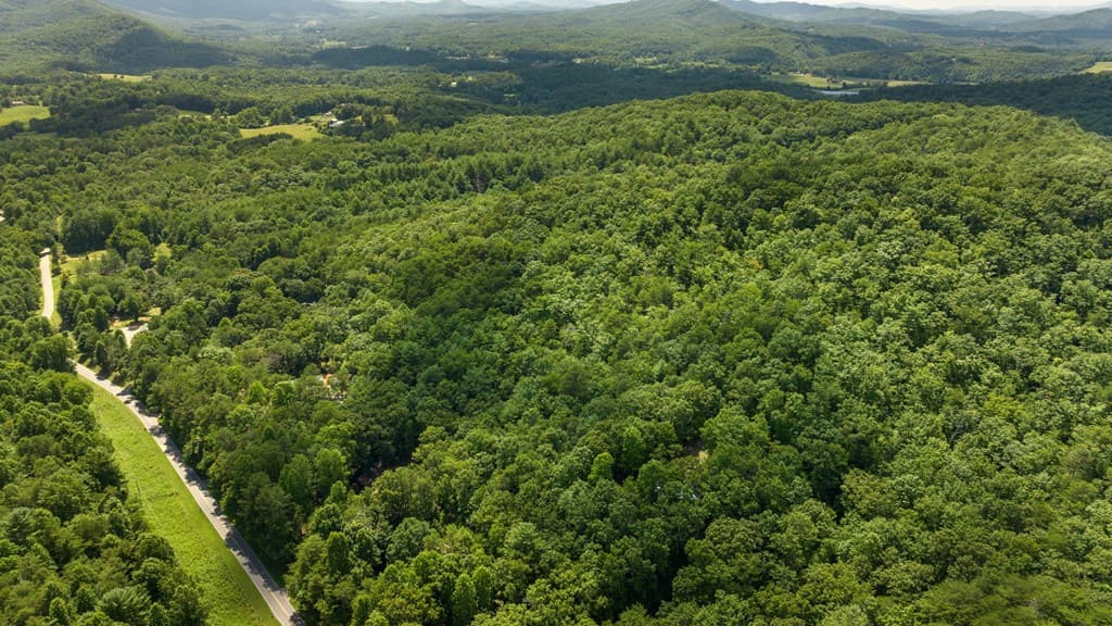 1AC Bruce Wike Lane, Brasstown NC 28902 - Photo