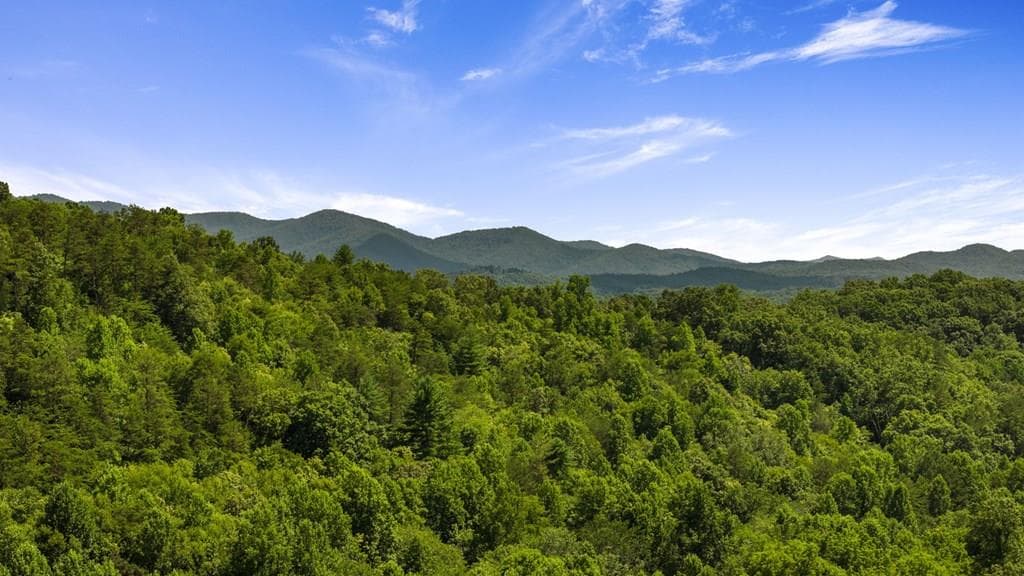 1AC Bruce Wike Lane, Brasstown NC 28902 - Primary photo