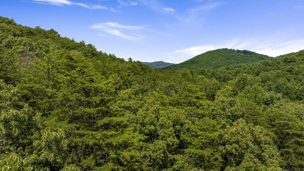1AC Bruce Wike Lane, Brasstown NC 28902 - Photo