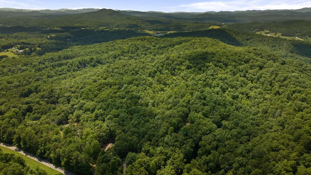 1AC Bruce Wike Lane, Brasstown NC 28902 - Photo