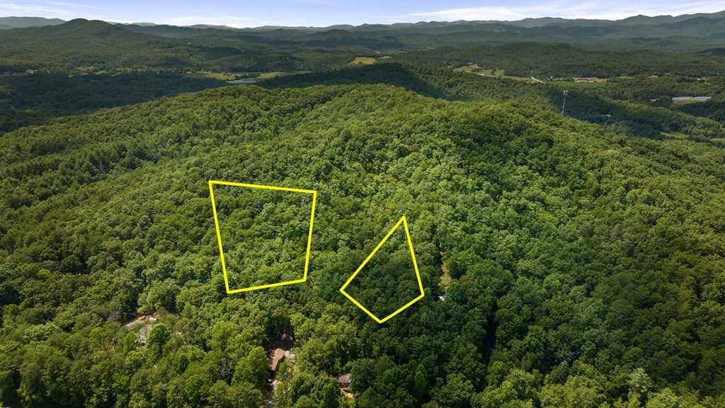 1AC Bruce Wike Lane, Brasstown NC 28902 - Photo