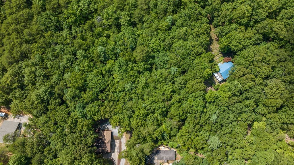 1AC Bruce Wike Lane, Brasstown NC 28902 - Photo