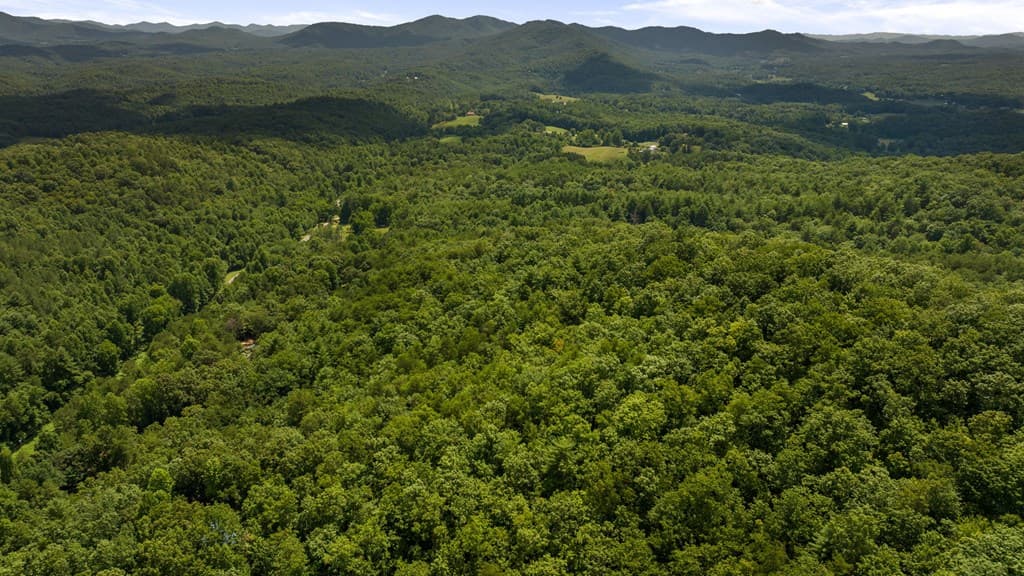 1AC Green Cove Road, Brasstown NC 28902 - Photo