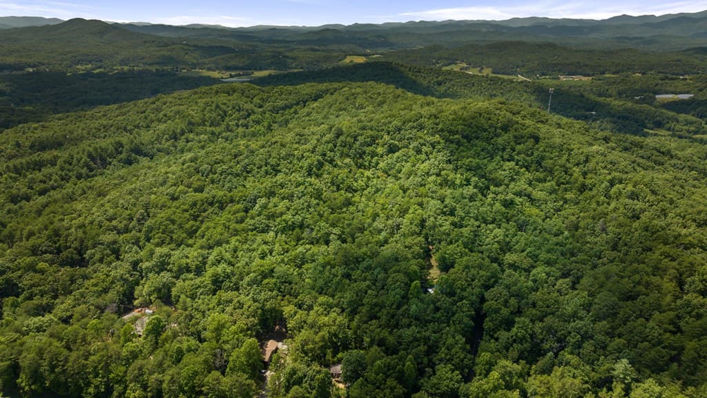 1AC Green Cove Road, Brasstown NC 28902 - Photo