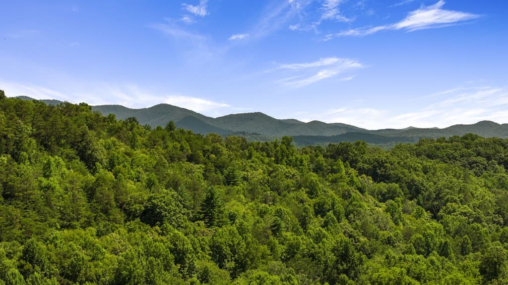 1AC Green Cove Road, Brasstown NC 28902 - Photo