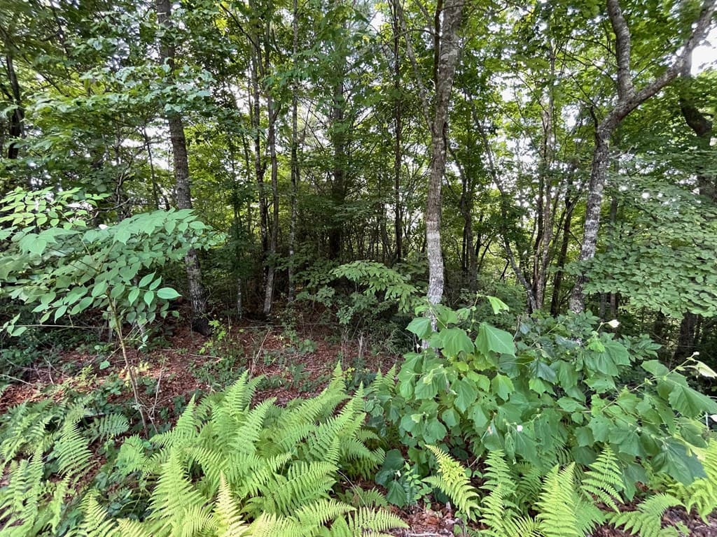Lot 11 Little Cove Lane, Hiawassee GA 30546 - Photo
