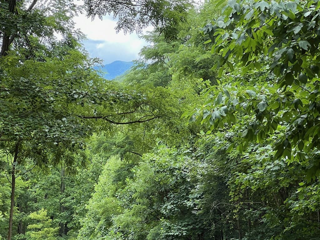 00 Overlook Drive, Young Harris GA 30582 - Photo