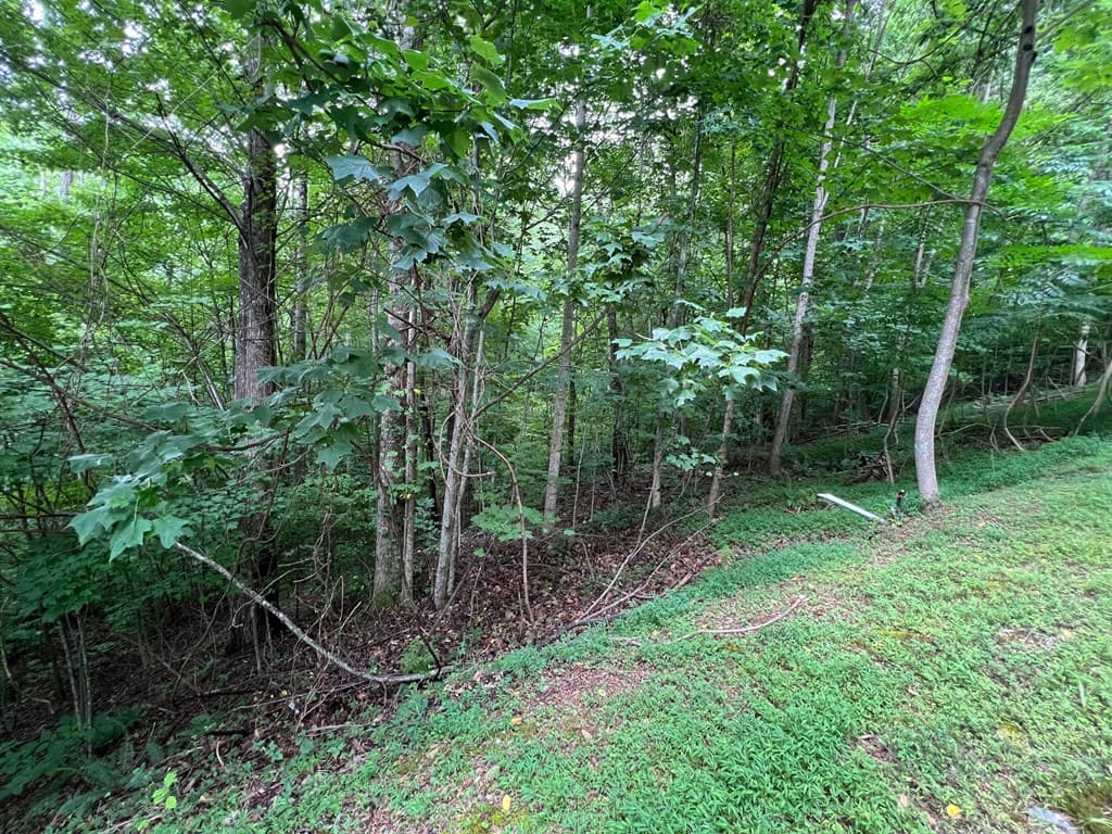 00 Overlook Drive, Young Harris GA 30582 - Photo