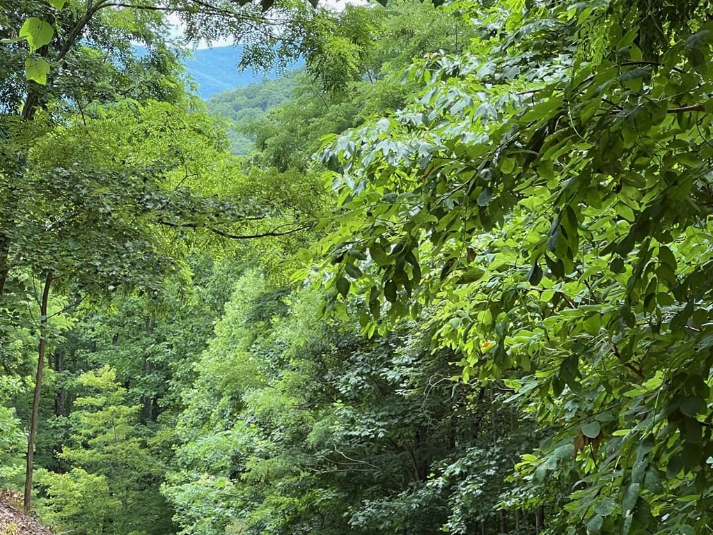 00 Overlook Drive, Young Harris GA 30582 - Photo