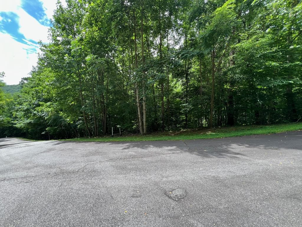 00 Overlook Drive, Young Harris GA 30582 - Primary photo