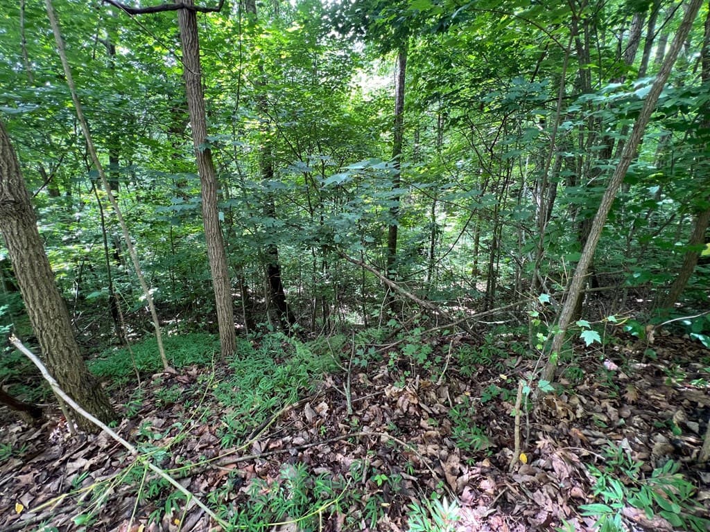 00 Overlook Drive, Young Harris GA 30582 - Photo