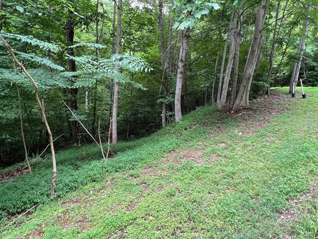 00 Overlook Drive, Young Harris GA 30582 - Photo