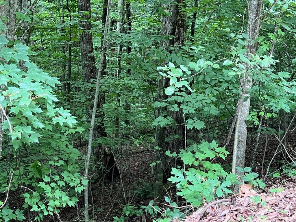 00 Overlook Drive, Young Harris GA 30582 - Photo