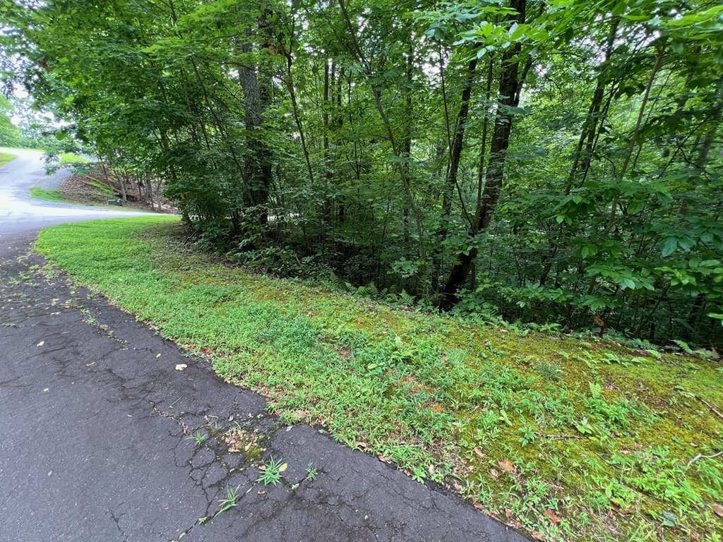 00 Overlook Drive, Young Harris GA 30582 - Photo