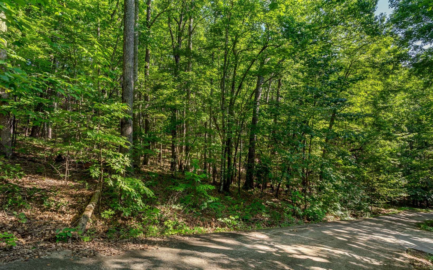 L11 Mattie Lane, Blairsville GA 30512 - Photo