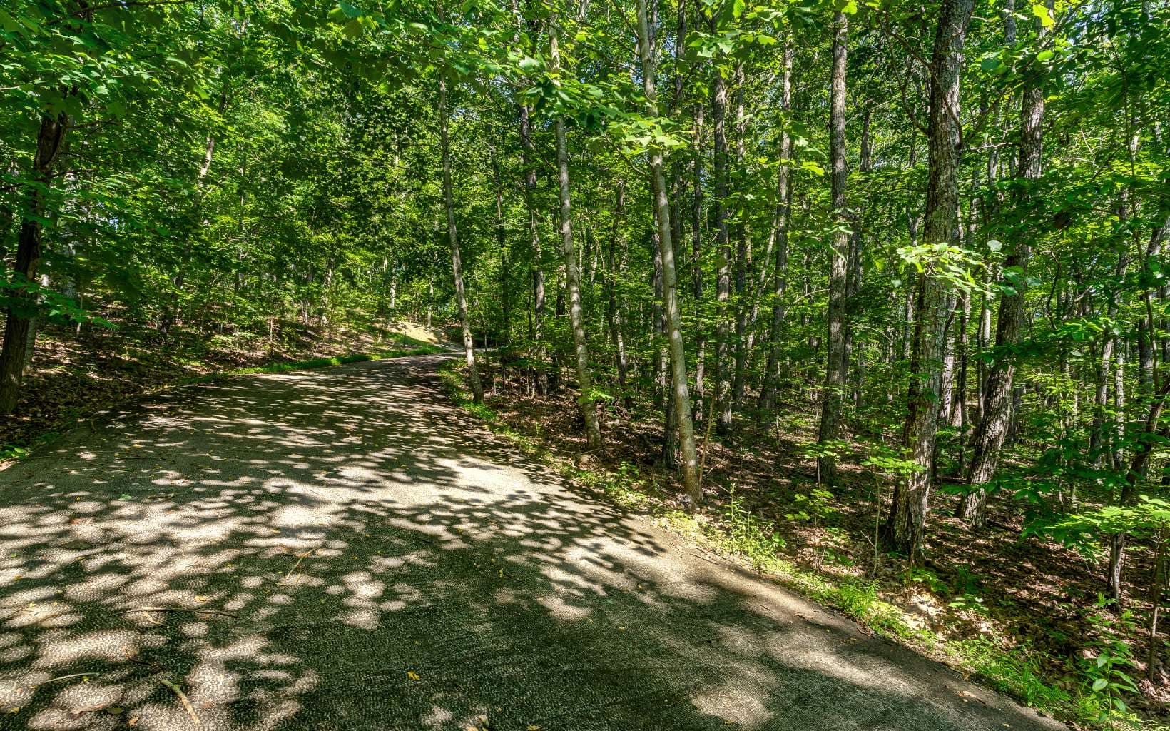 L11 Mattie Lane, Blairsville GA 30512 - Photo