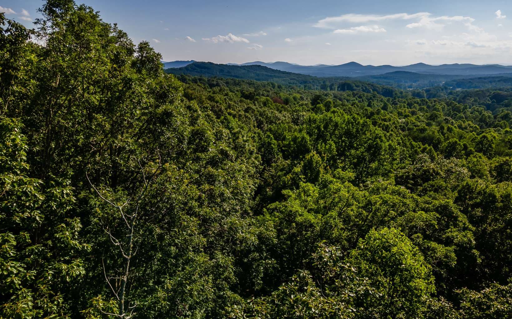 L11 Mattie Lane, Blairsville GA 30512 - Primary photo