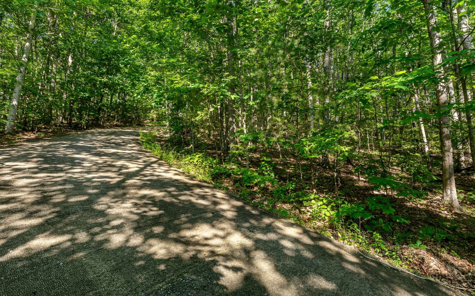 L11 Mattie Lane, Blairsville GA 30512 - Photo