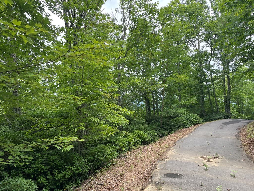12, 13A Brasstown Heights Ln, Brasstown NC 28902 - Photo