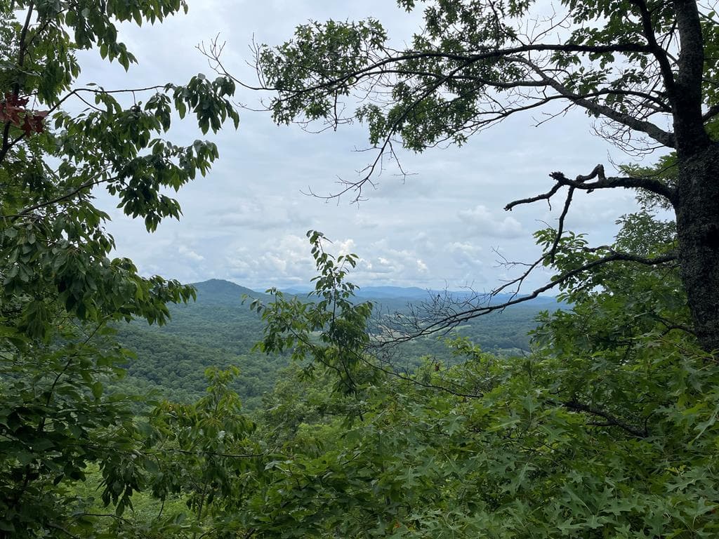 12, 13A Brasstown Heights Ln, Brasstown NC 28902 - Primary photo