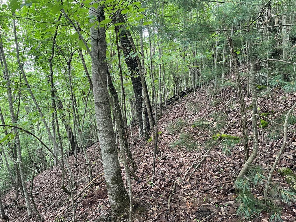 12, 13A Brasstown Heights Ln, Brasstown NC 28902 - Photo