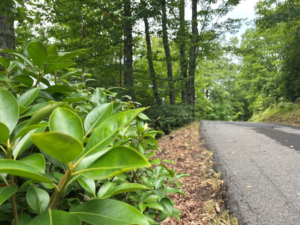 12, 13A Brasstown Heights Ln, Brasstown NC 28902 - Photo
