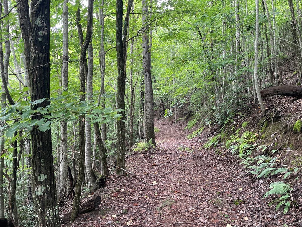 12, 13A Brasstown Heights Ln, Brasstown NC 28902 - Photo