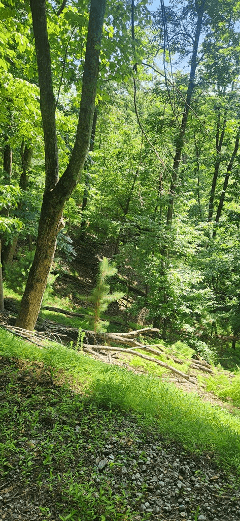0 Mohawk Trail, Ellijay GA 30540 - Photo