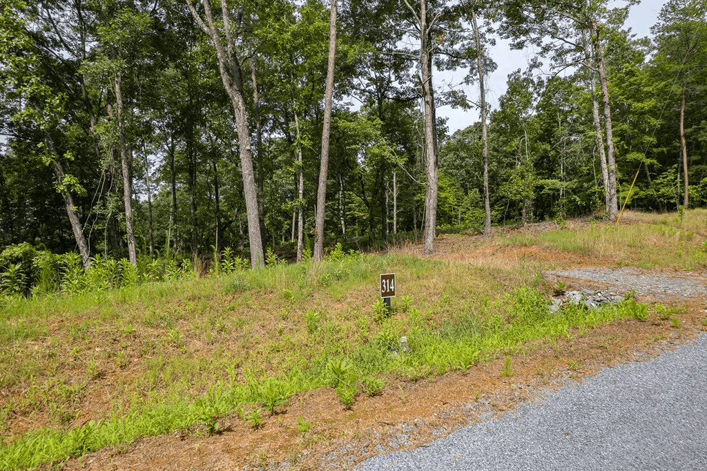 Lot 314 Pebble Trace, Talking Rock GA 30175 - Photo
