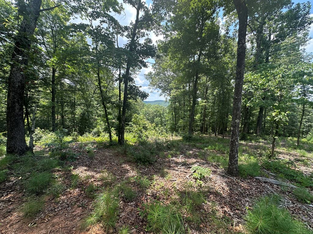 Lot 314 Pebble Trace, Talking Rock GA 30175 - Photo