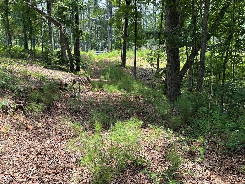Lot 314 Pebble Trace, Talking Rock GA 30175 - Photo
