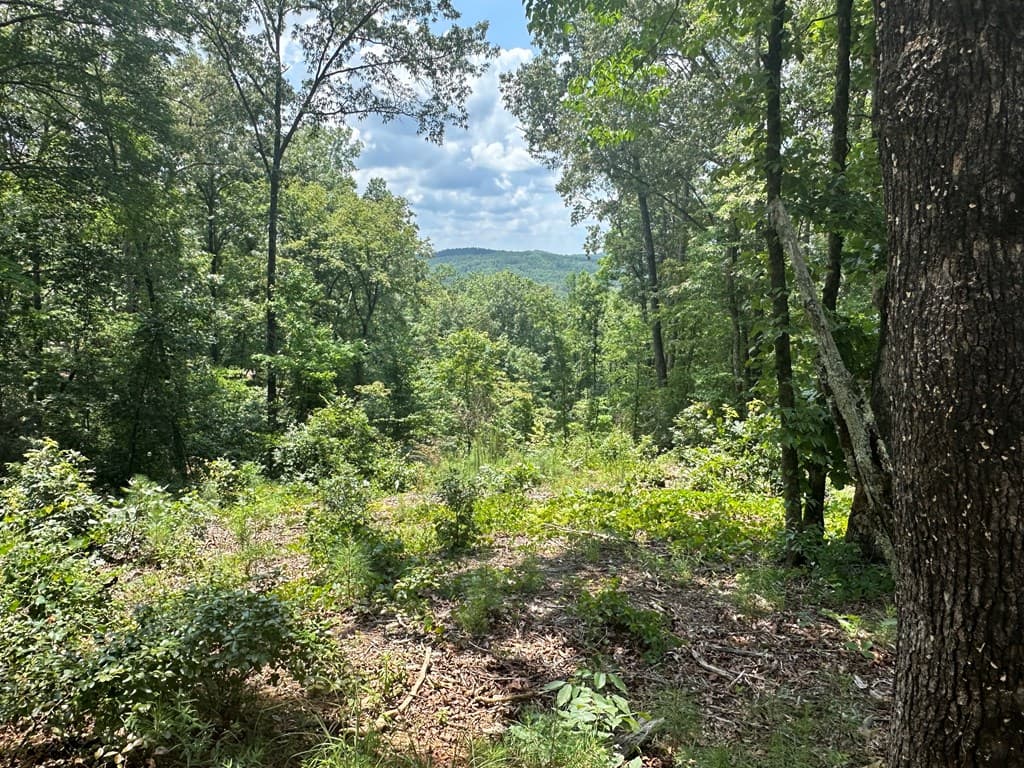 Lot 314 Pebble Trace, Talking Rock GA 30175 - Photo