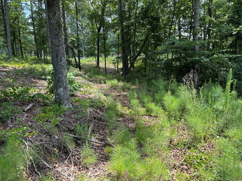 Lot 314 Pebble Trace, Talking Rock GA 30175 - Photo