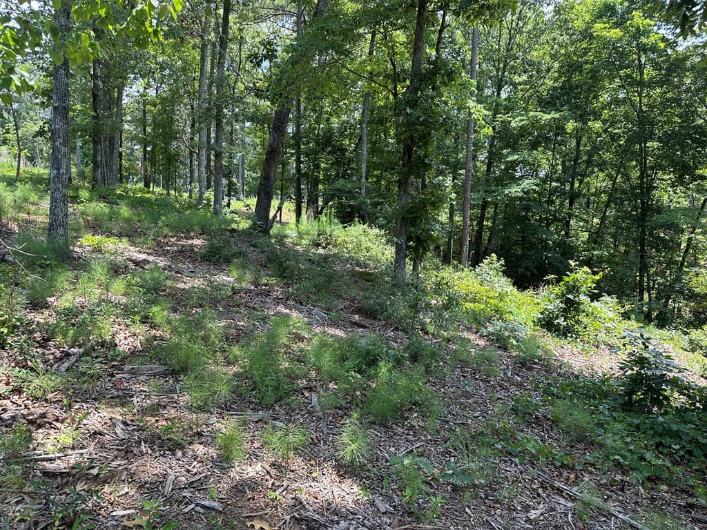 Lot 315 Pebble Trace, Talking Rock GA 30175 - Photo