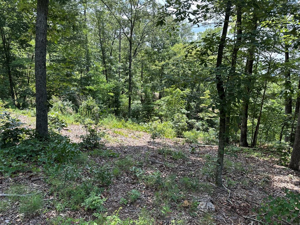 Lot 315 Pebble Trace, Talking Rock GA 30175 - Photo