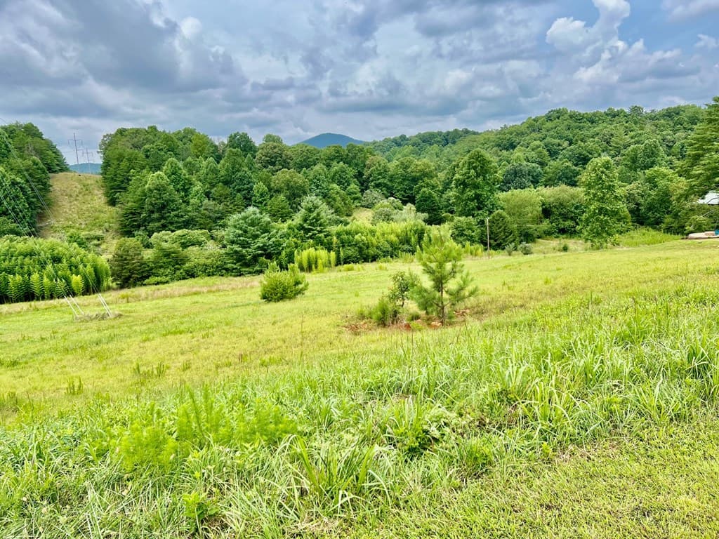 48 Madeline Way, Blairsville GA 30512 - Photo