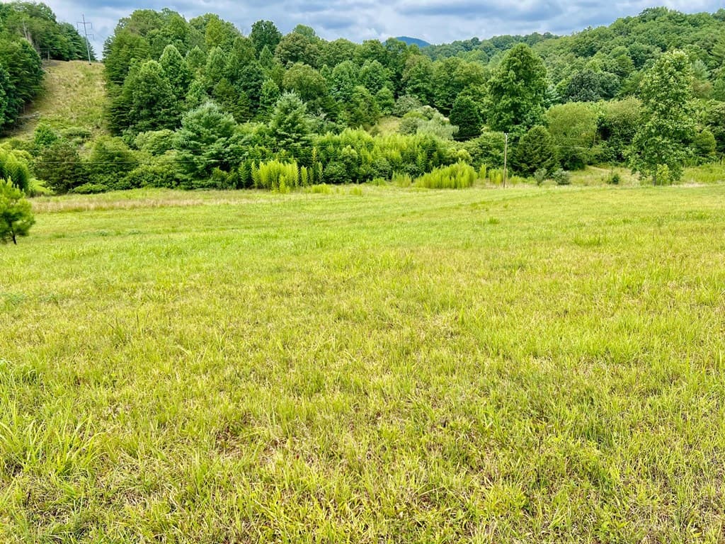 48 Madeline Way, Blairsville GA 30512 - Photo