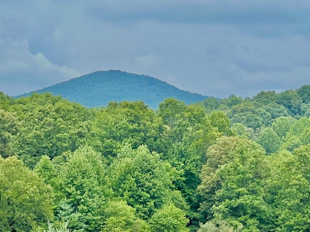 48 Madeline Way, Blairsville GA 30512 - Primary photo