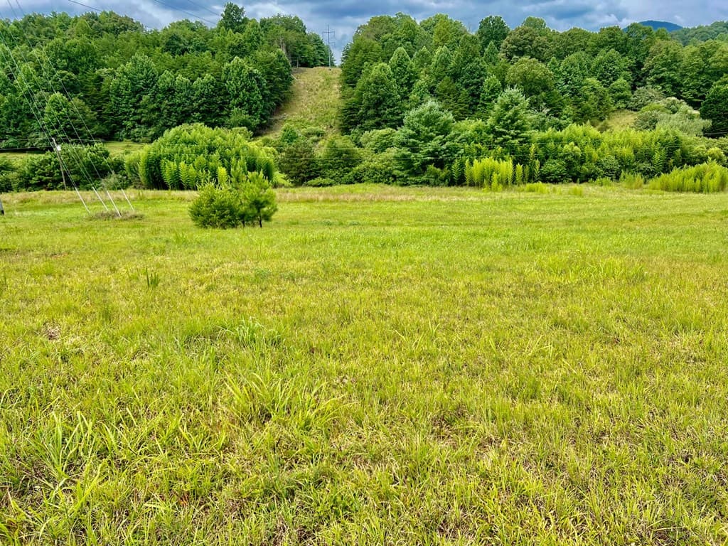 48 Madeline Way, Blairsville GA 30512 - Photo