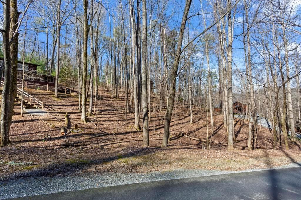 0 Sleepy Hollow Road, Ellijay GA 30536 - Photo