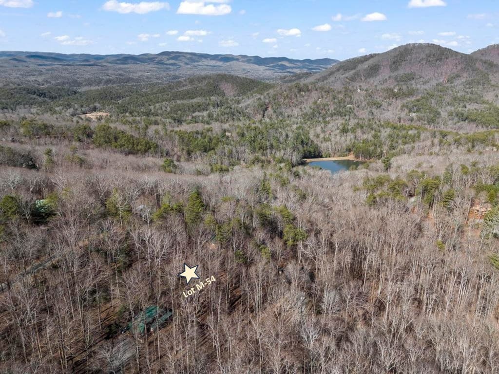 0 Sleepy Hollow Road, Ellijay GA 30536 - Photo